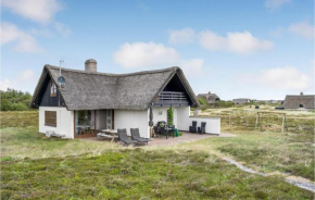3 Bedroom Gorgeous Home In Hvide Sande